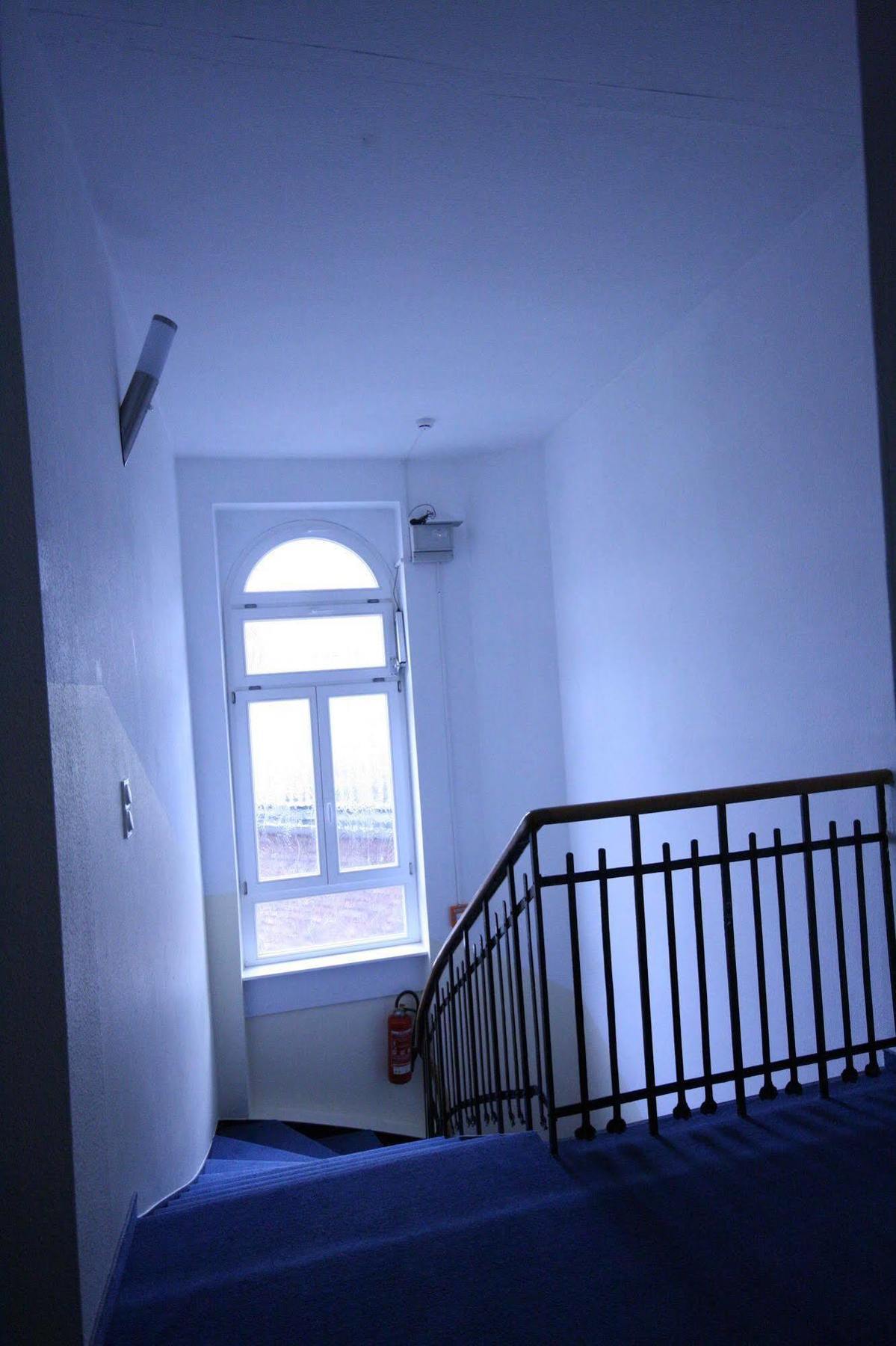 Hotel Altstadt 3*